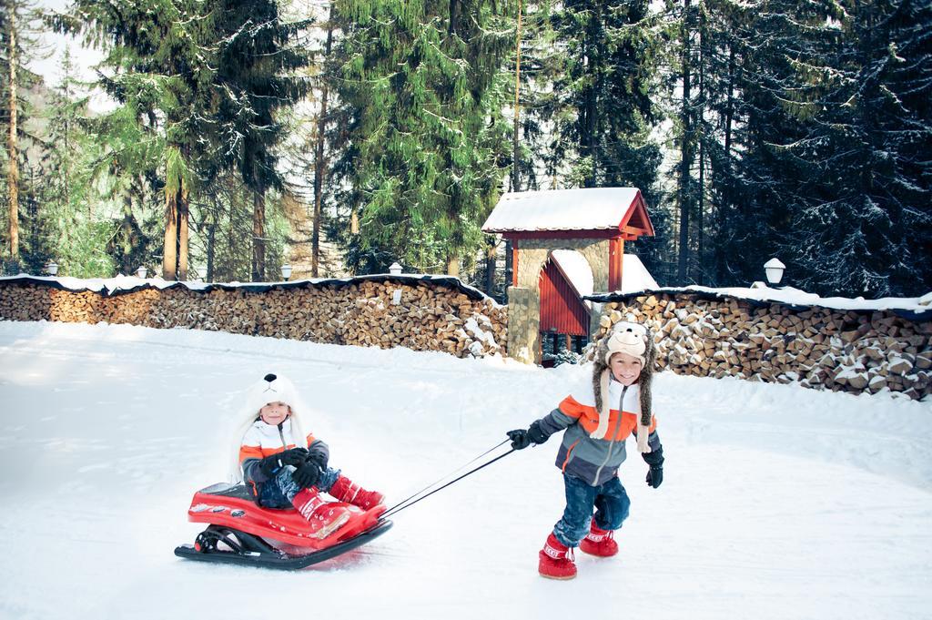 Карпатський Затишок Holiday park